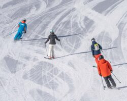 oxygene-quality-instructors oxygene-quality-instructors